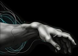 Left hand